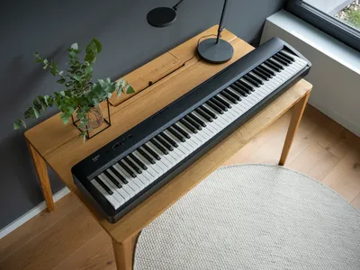 Kawai ES60 Digital Piano | Digital Piano | ES Series