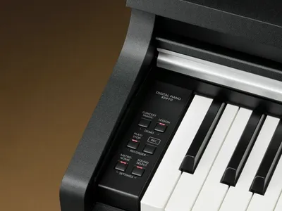 Kawai KDP70 Digital Piano | Digital Piano | KDP Series